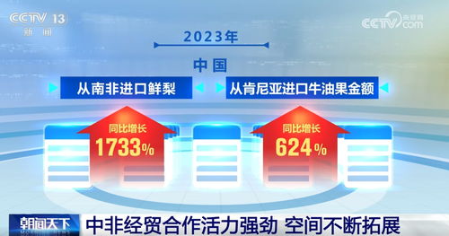 中非经贸合作稳步发展 活力强劲 空间广阔 多领域迎来新成果 新机遇