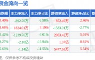 股票行情快报：浙大网新（600797）3月6日主力资金净卖出892.70万元