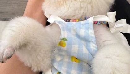 无痛人流当天去医院当天就可以做吗