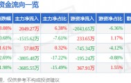 股票行情快报：浙大网新（600797）5月6日主力资金净买入2049.27万元
