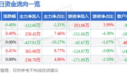 股票行情快报:康欣新材(600076)8月13日主力资金净卖出112.66万元