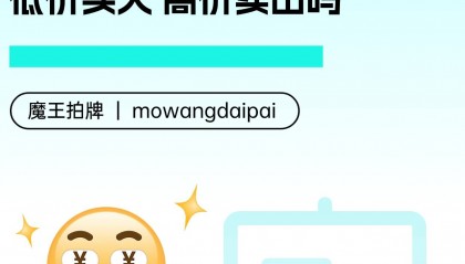 我可以注册很多家公司拍企业沪牌 低价买入 高价卖出吗