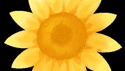 2025年国家网络安全宣传周 | 守护信息“生命线”、筑牢金融“防火墙”