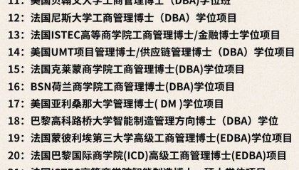 法国诺欧商学院金融学博士（FDBA）项目
