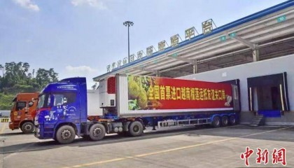 广西自贸试验区探索智慧查验新模式 便利东盟水果进境通关