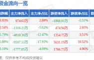 股票行情快报：浙大网新（600797）3月25日主力资金净买入974.63万元
