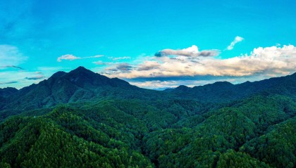 农行广东分行：写好“绿色金融”大文章 共绘“绿美广东”新画卷