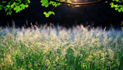 成人中专招生简章（新发布）