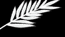 姜岩|上海伶界联合会考论