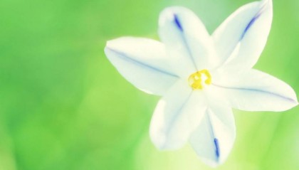 吉林省电大中专招生简章（发布）