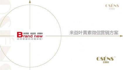 欧赛斯经典互联网金融普惠金融P2P平台品牌策划定位整合营销方案