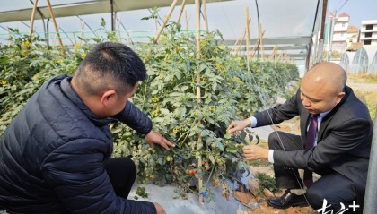 广东茂名：金融“底肥”足 原野万象新