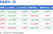 股票行情快报：浙大网新（600797）3月11日主力资金净卖出2341.40万元