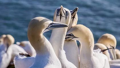 海能技术:股票交易异常波动