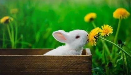 赋能理财师，践行普惠金融 天弘基金探索财富管理更优解