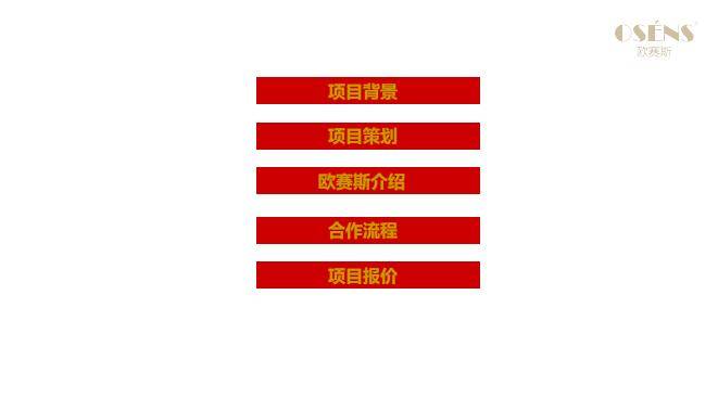 欧赛斯经典互联网金融普惠金融P2P平台品牌策划定位整合营销方案