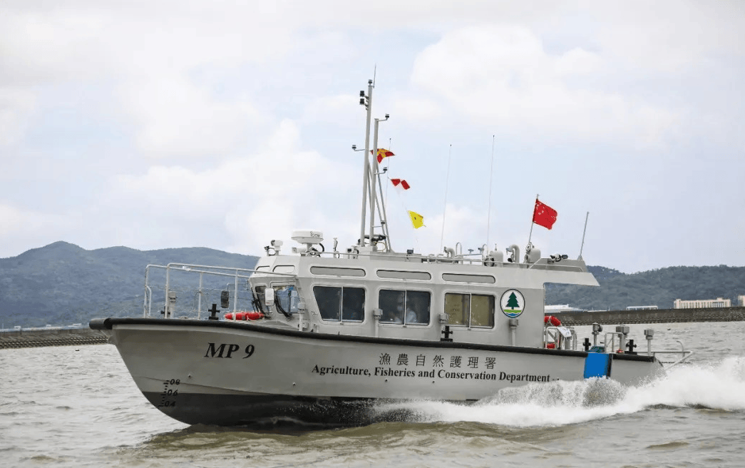 江龙船艇：船行四海 筑梦全球