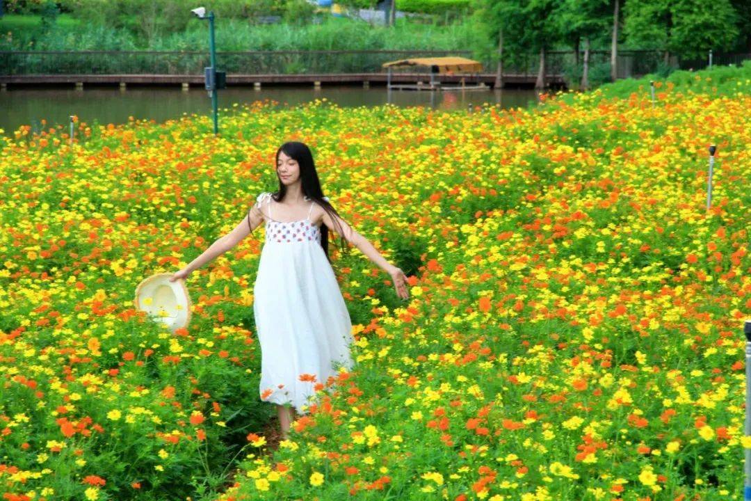 网络中国节·七夕 | 相约绿城 共度浪漫