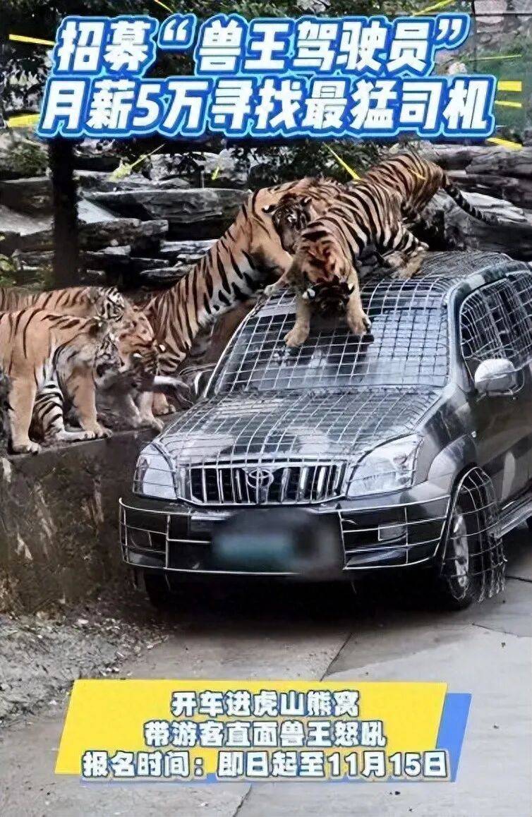 早安·黄石 | 黄马赛事有调整/ 国产九价HPV疫苗落地黄石/免费！就在本周六