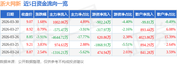 股票行情快报：浙大网新（600797）3月30日主力资金净买入1002.06万元