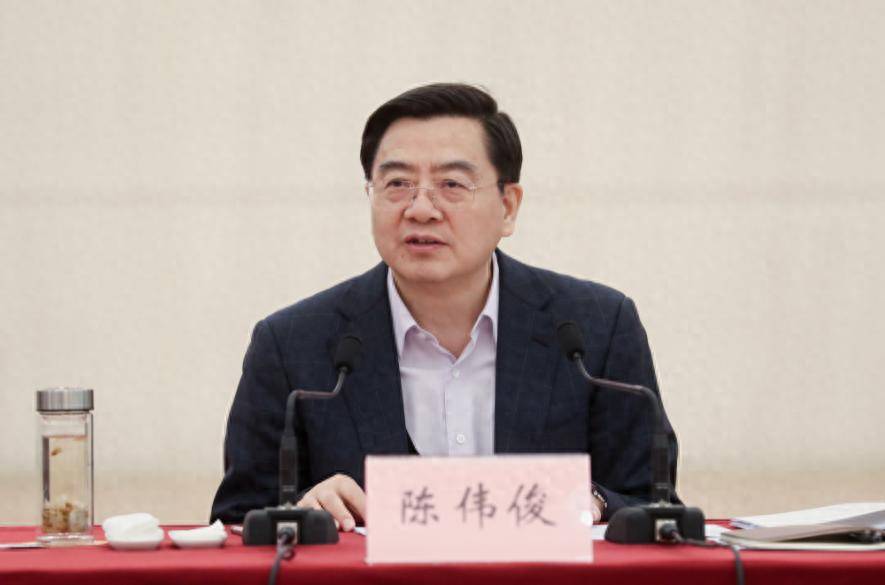 新疆维吾尔自治区党委原常委、自治区政府原副主席陈伟俊，被“双开”