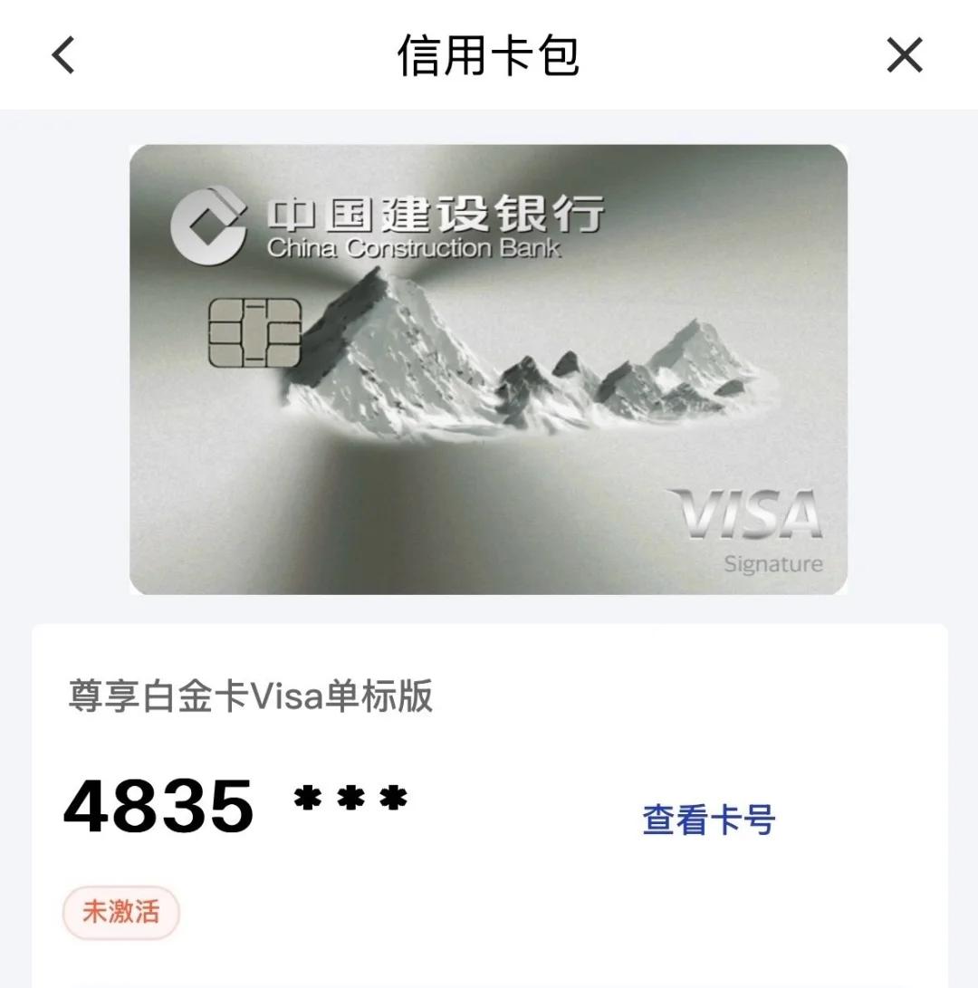 虚拟币建行(虚拟币建仓是什么意思)